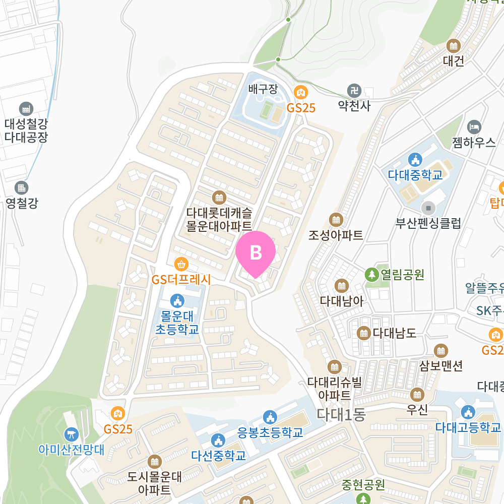 다대 지도